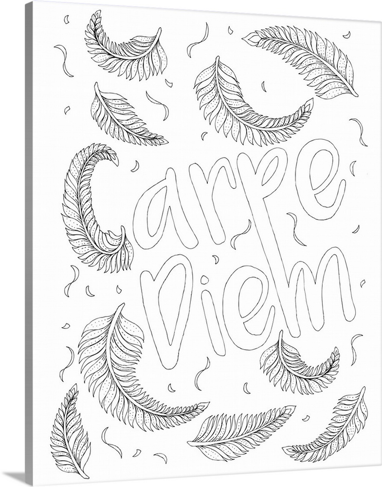 Black and white line art with the phrase "Carpe Diem" surrounded by feathers.