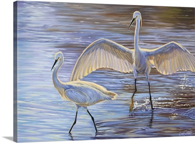 Light Dance (Snowy Egrets)
