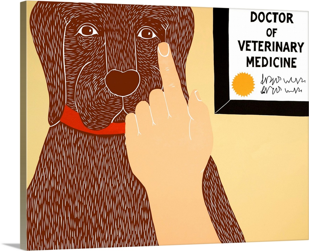 Illustration of a chocolate lab getting a check-up at the vet.