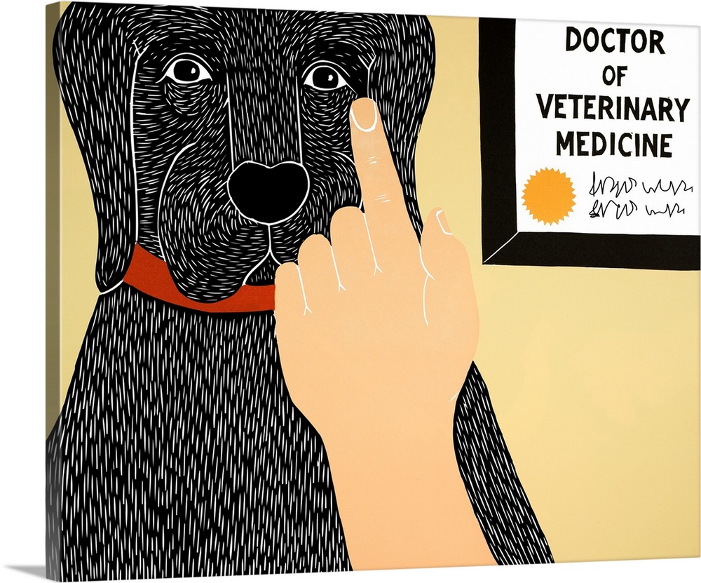 Illustration of a black lab getting a check-up at the vet.