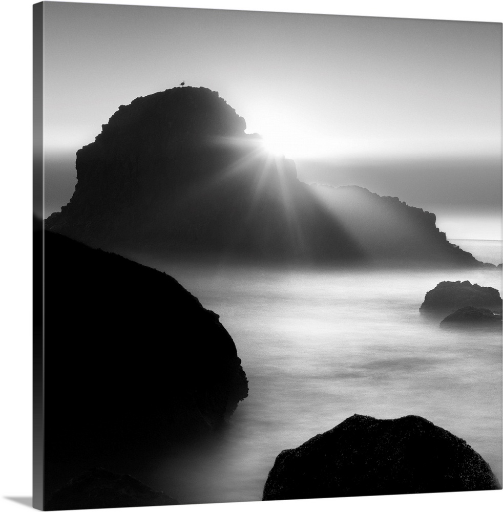 sunrise, rocks, seagull, black and white photograph