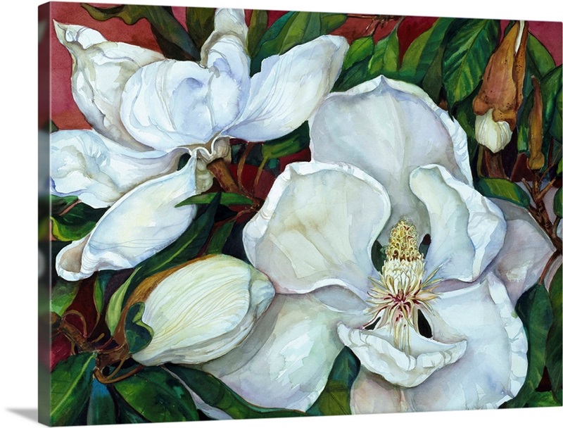 Magnolias Wall Art, Canvas Prints, Framed Prints, Wall Peels Great