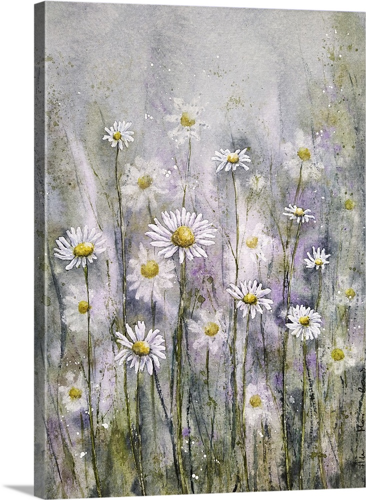 Marguerite Daisies I