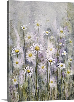 Marguerite Daisies I