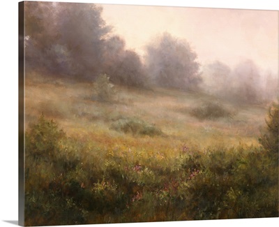 Meadow In Mist