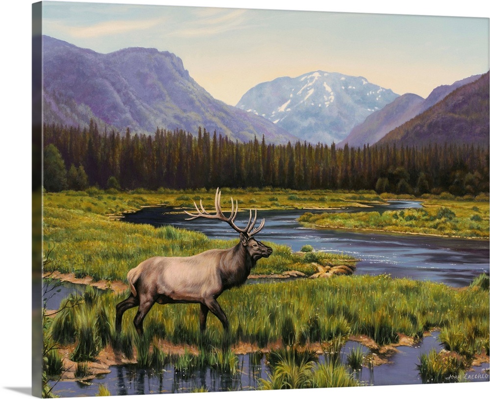 Two elk in a valley, trees, mountains
