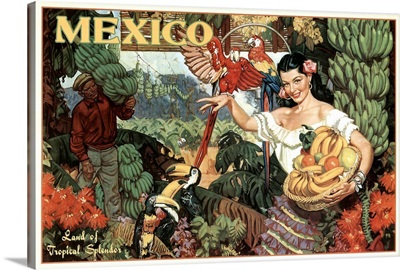 Mexico - Vintage Travel Advertisement