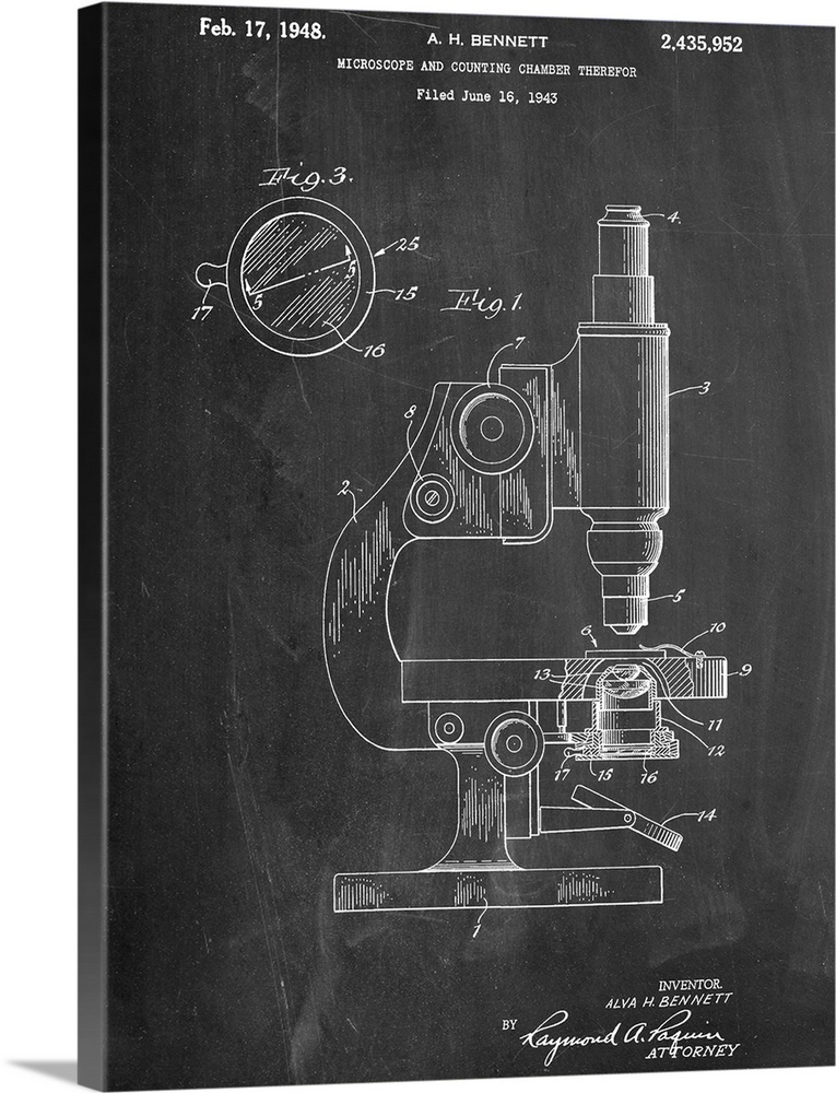 Black and white diagram showing the parts of a microscope.
