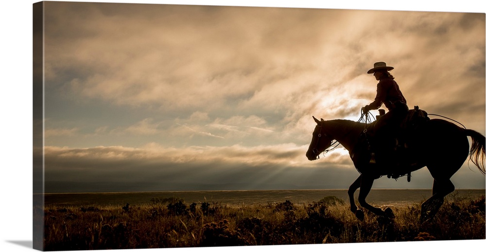 Silhouette of a cowgirl on horseback in a field.