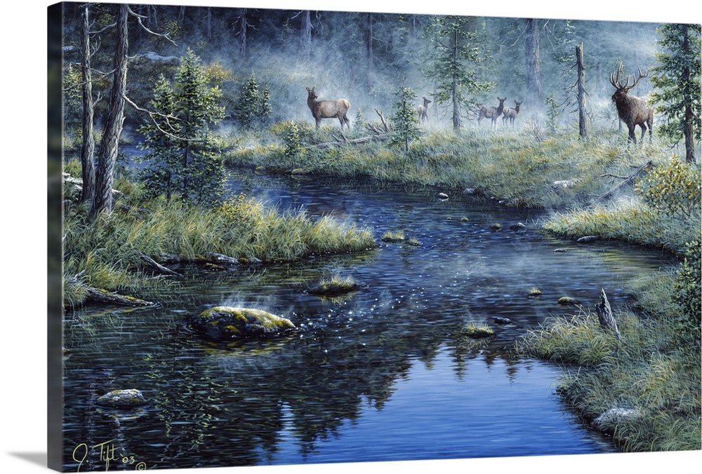 stream through woods with elk in fields