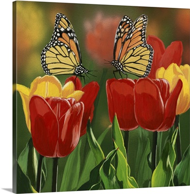 Monarchs And Tulips