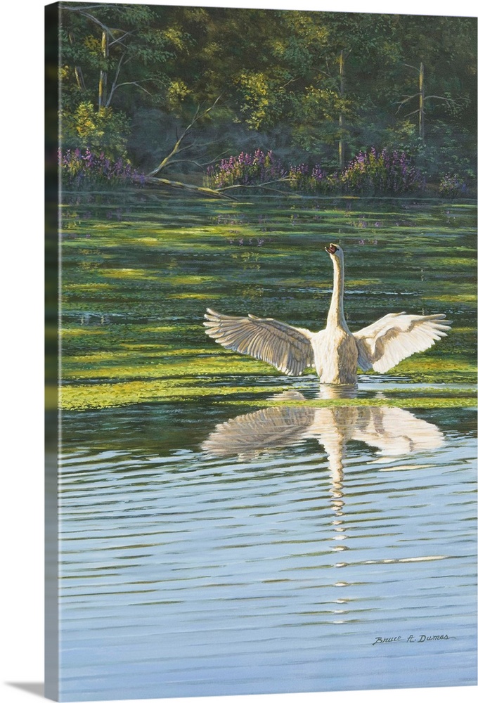 Contemporary artwork of a Swan stretching out wings in the water purple flowers and forest in back