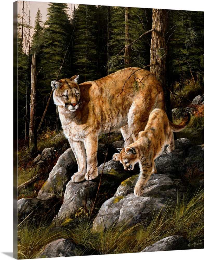 Mother and Child (Mt. Lions)