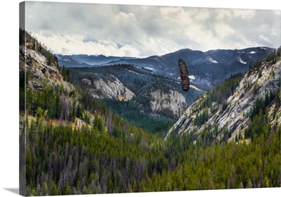 Mountains With Eagle