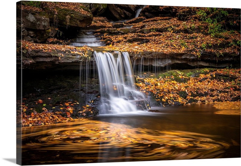 Moving Fall | Great Big Canvas