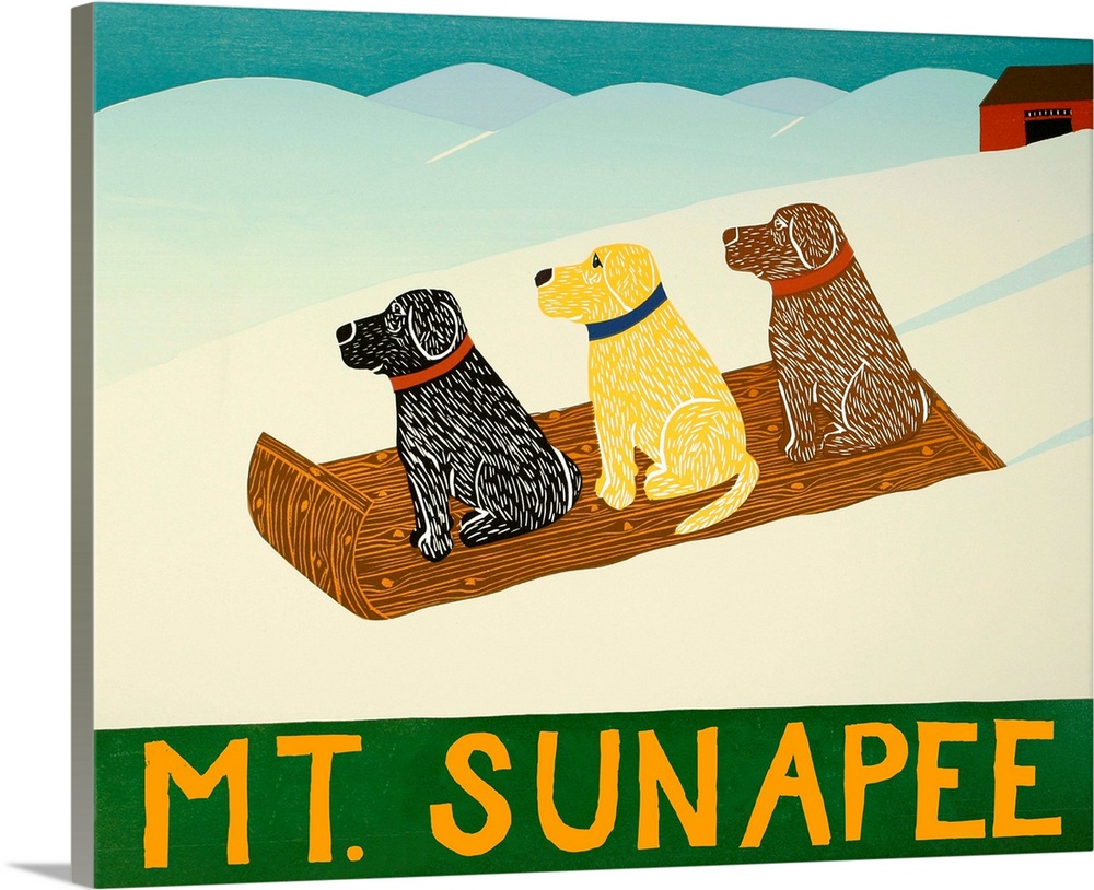 Illustration of a chocolate, yellow, and black lab sledding down the slopes with "Mt. Sunapee" written on the bottom.