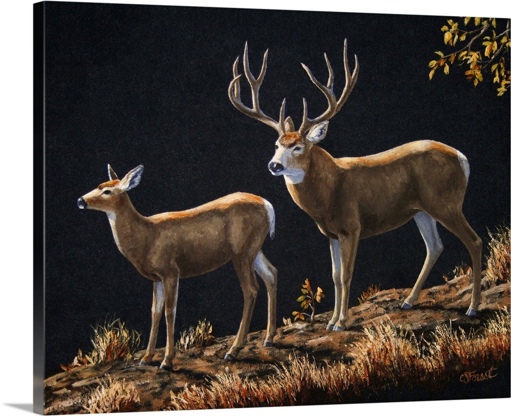 Mule Deer Ridge Wall Art, Canvas Prints, Framed Prints, Wall Peels