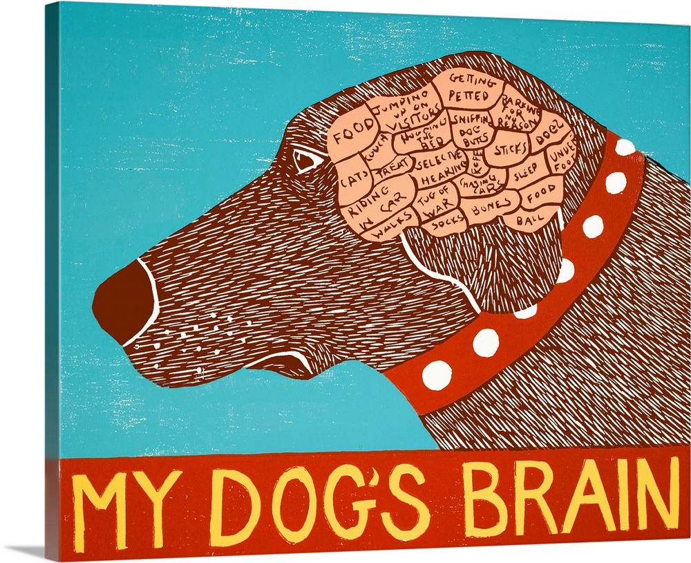 Illustration of a chocolate lab displaying its brain sectioned out into categories of things it thinks about with "My Dog'...