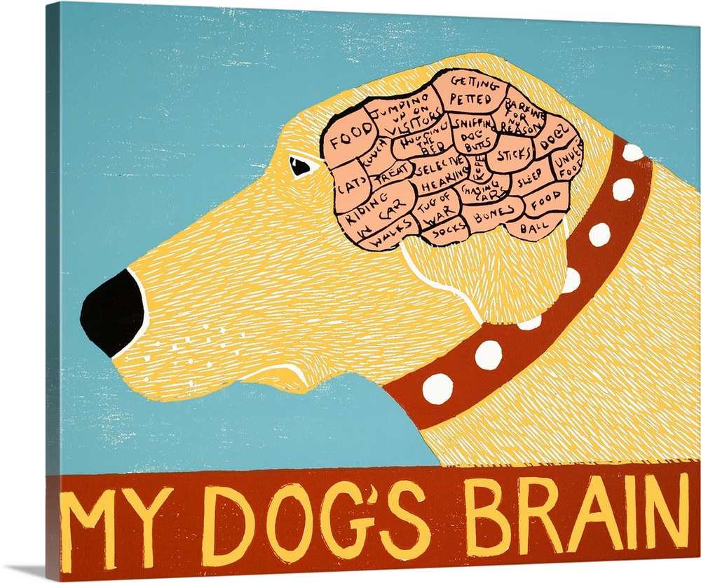 Illustration of a yellow lab showing its brain and how its brain is divided up with the phrase "My Dog's Brain" written on...