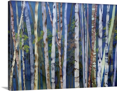 Mystery Of Trees-Birches