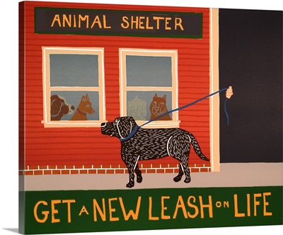 New Leash On Life Animal Shelter