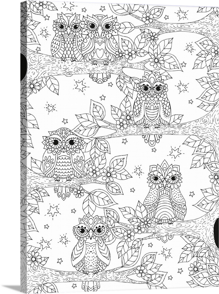 Black and white line art of several owls perched on tree branches surrounded by stars and leaves.