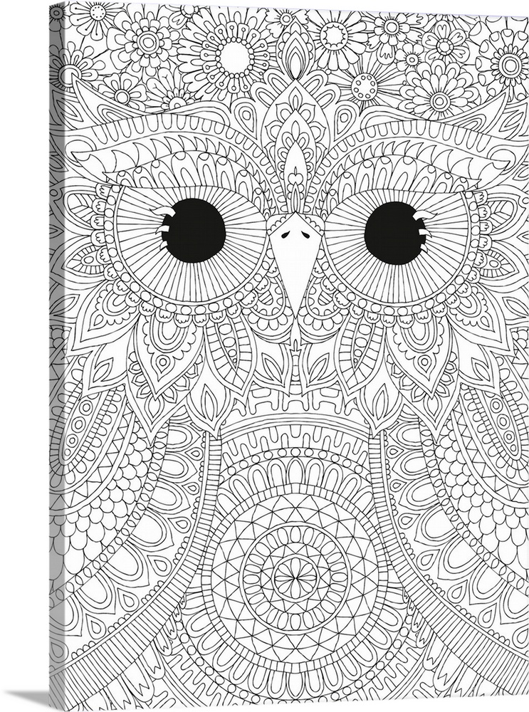 Black and white intricate line art of a close-up owl face with big eyes.