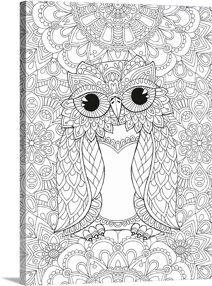 Black and white line art of a decorative owl on a busy, intricately designed background.