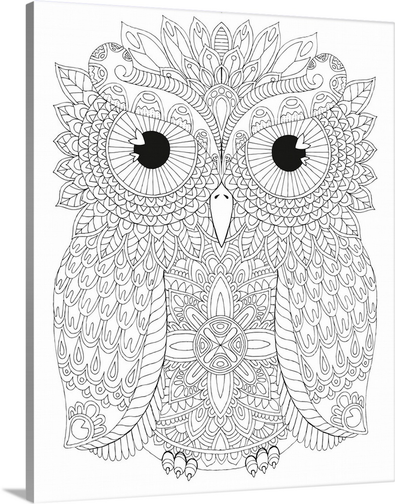 Black and white line art of an intricately designed owl.