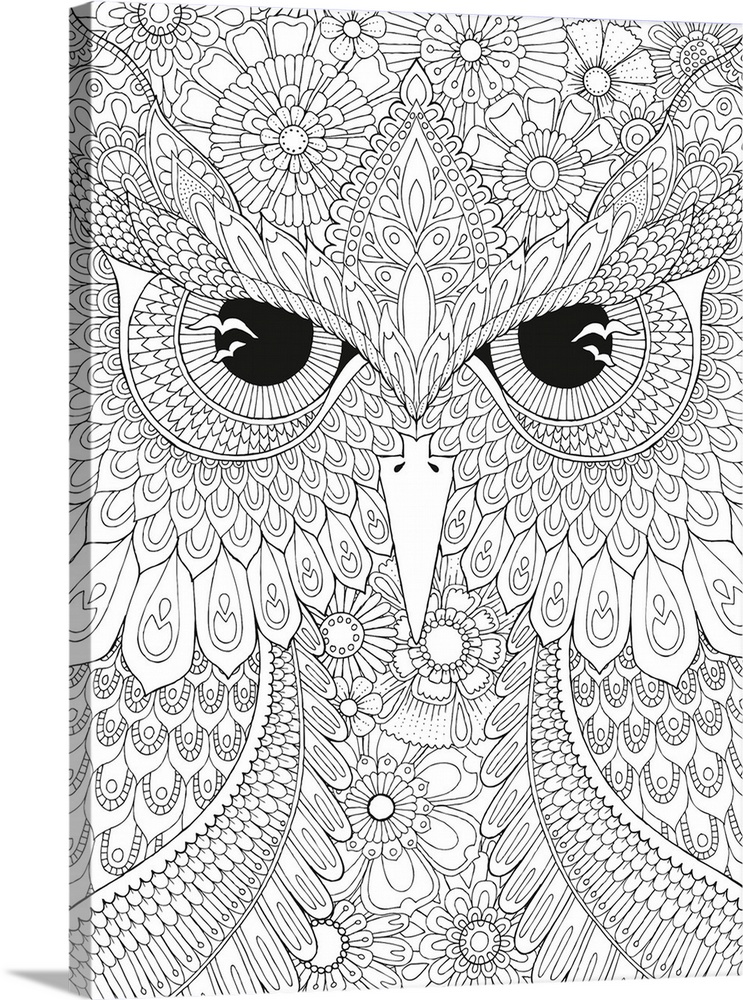 Black and white intricate line art of a close-up owl face.