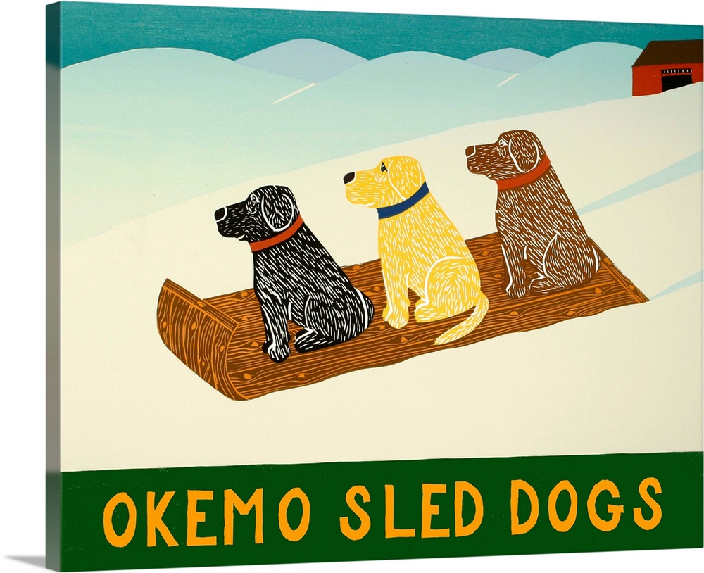 Illustration of a chocolate, yellow, and black lab sledding down the slopes with the phrase "Okemo Sled Dogs" written on t...