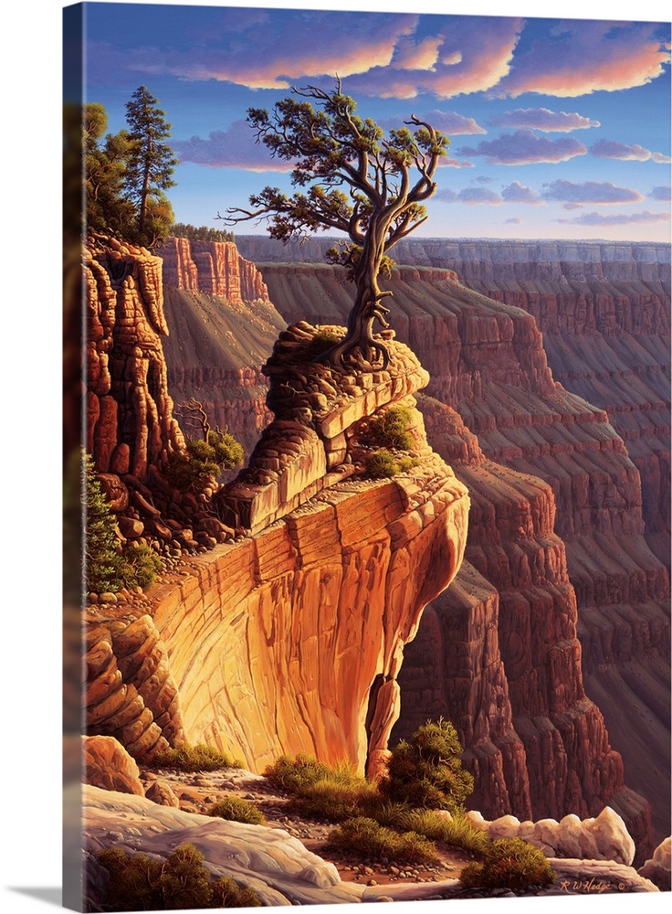 A wind-worn tree stands atop the Grand Canyon.