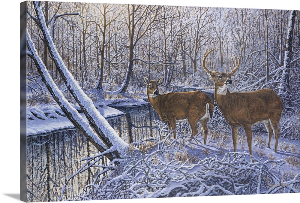 Contemporary artwork of two white tail deer about to drink from stream in wintery forest but turned around because they he...