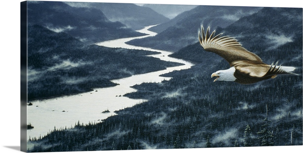 an eagle soaring over the mtns with a river running through