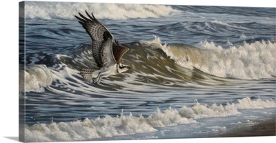 Osprey And Surf