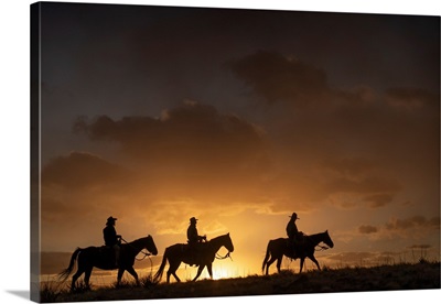 Out West image thumbnail