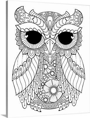 Owl 3