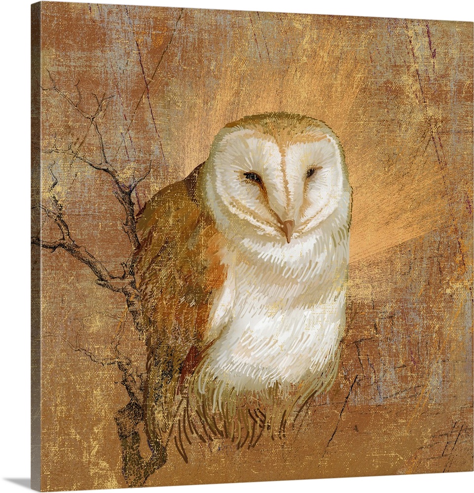 Barn owl in abstract wood and field surroundings.