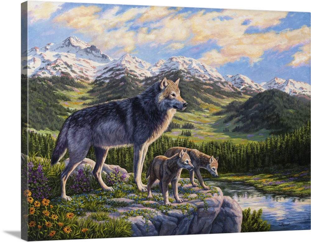 A wolf and two cubs standing by a river in the mountains.