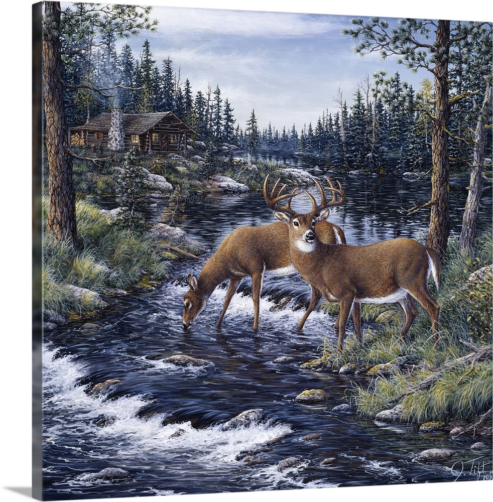 2 deer drinking from a mountain stream