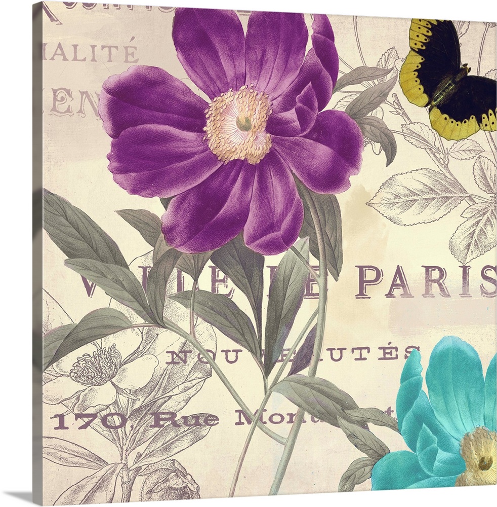Petals of Paris II