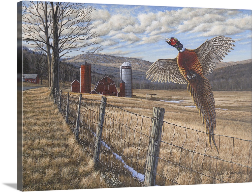Contemporary painting of a pheasant flying over farm fence with field and barn in the background