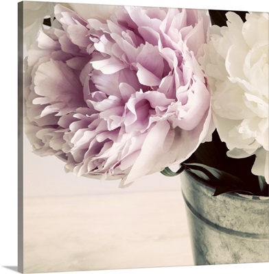 Pink and White Peonies in a Vase