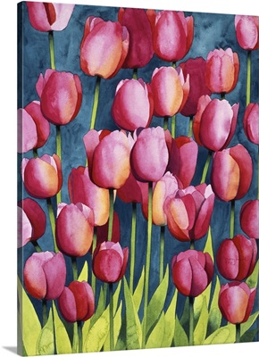 Pink Tulips