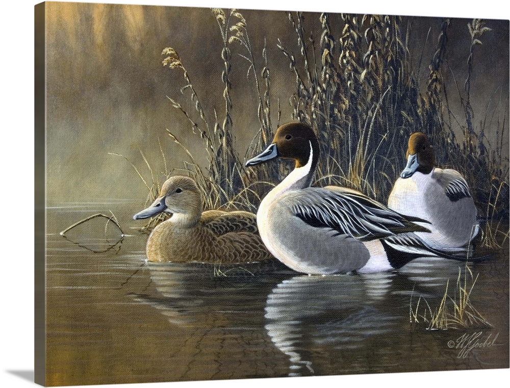 Three ducks near water's edge.