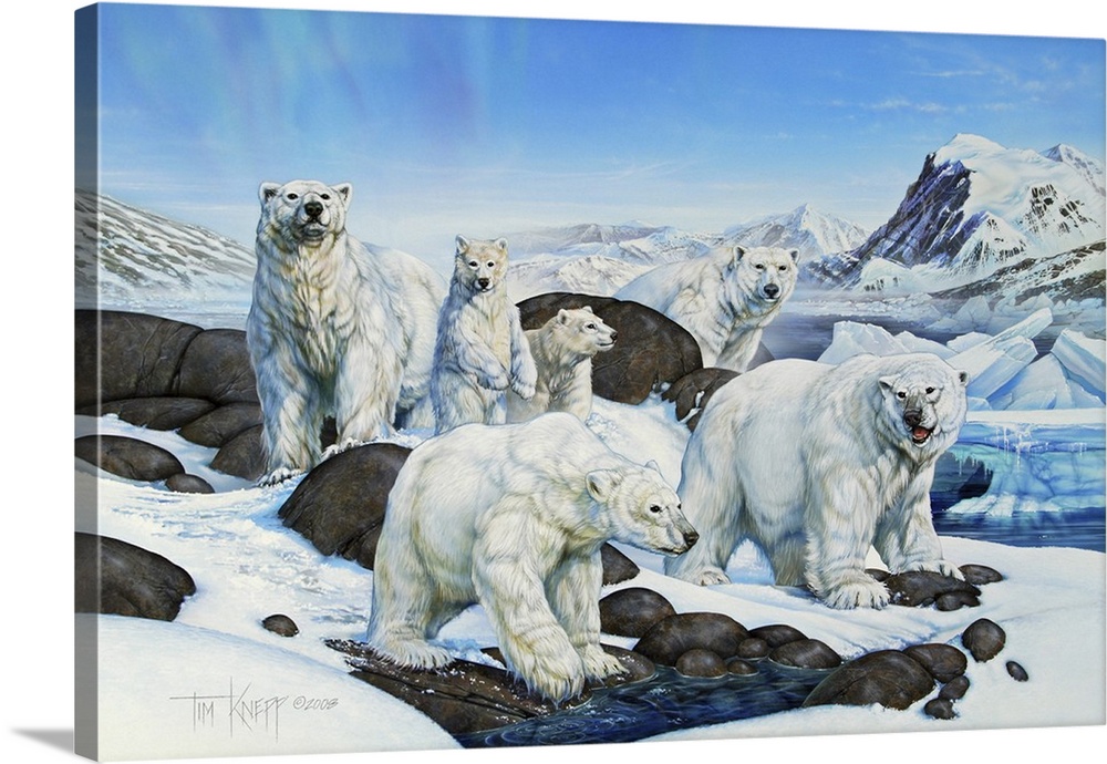Polar Bears on an ice cap