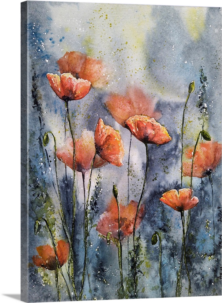 Poppy Flowers I