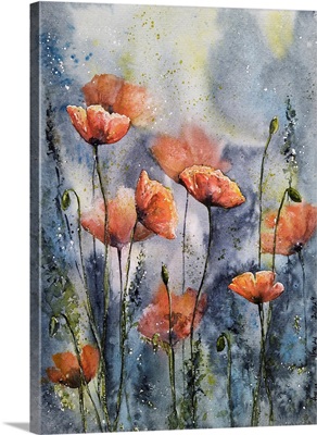 Poppy Flowers I