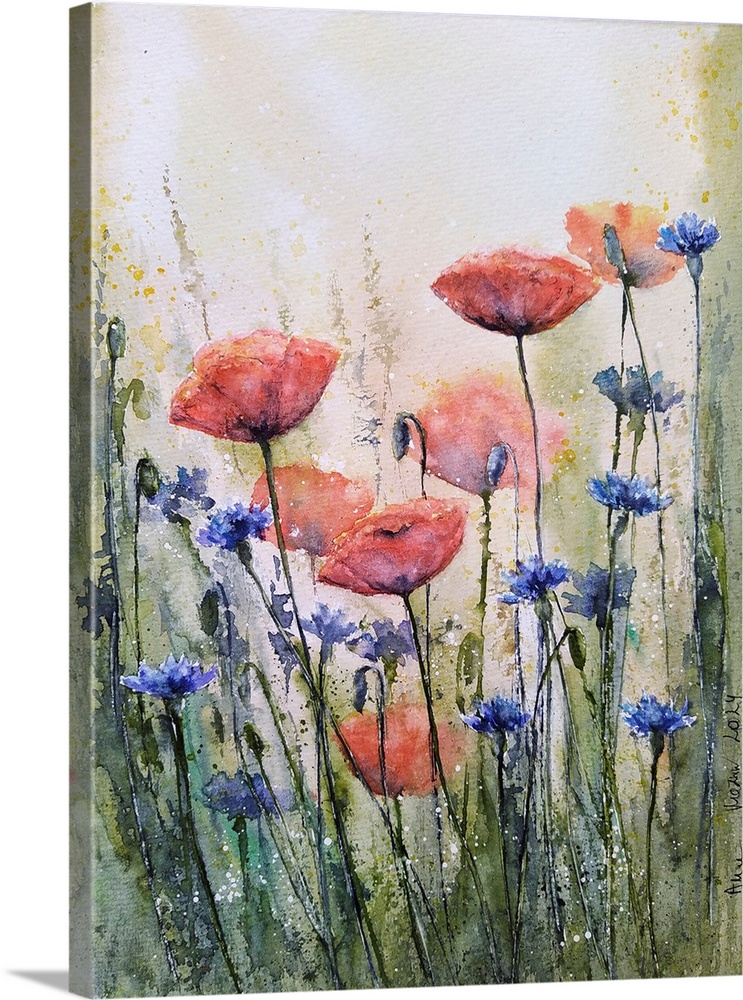 Poppy Flowers II