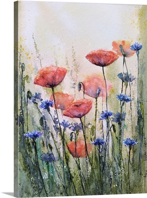 Poppy Flowers II